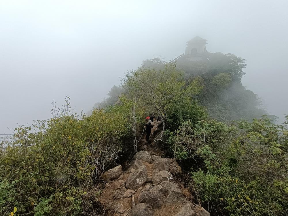 旗山  旗尾山登山步道  (04)