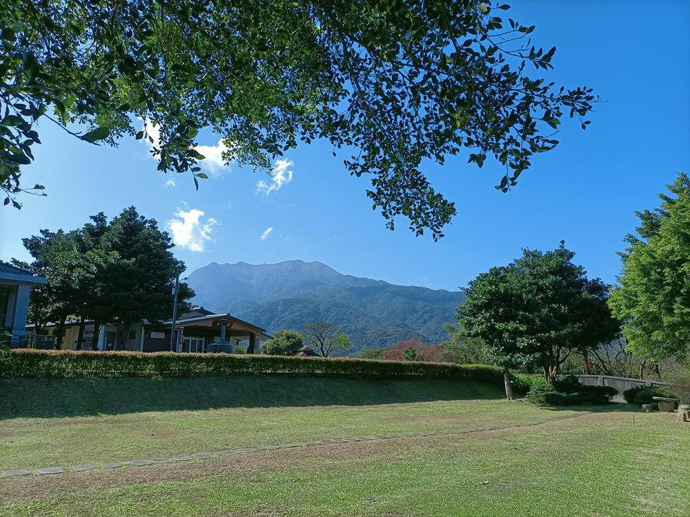 金山  南勢湖  慈音寺之春櫻