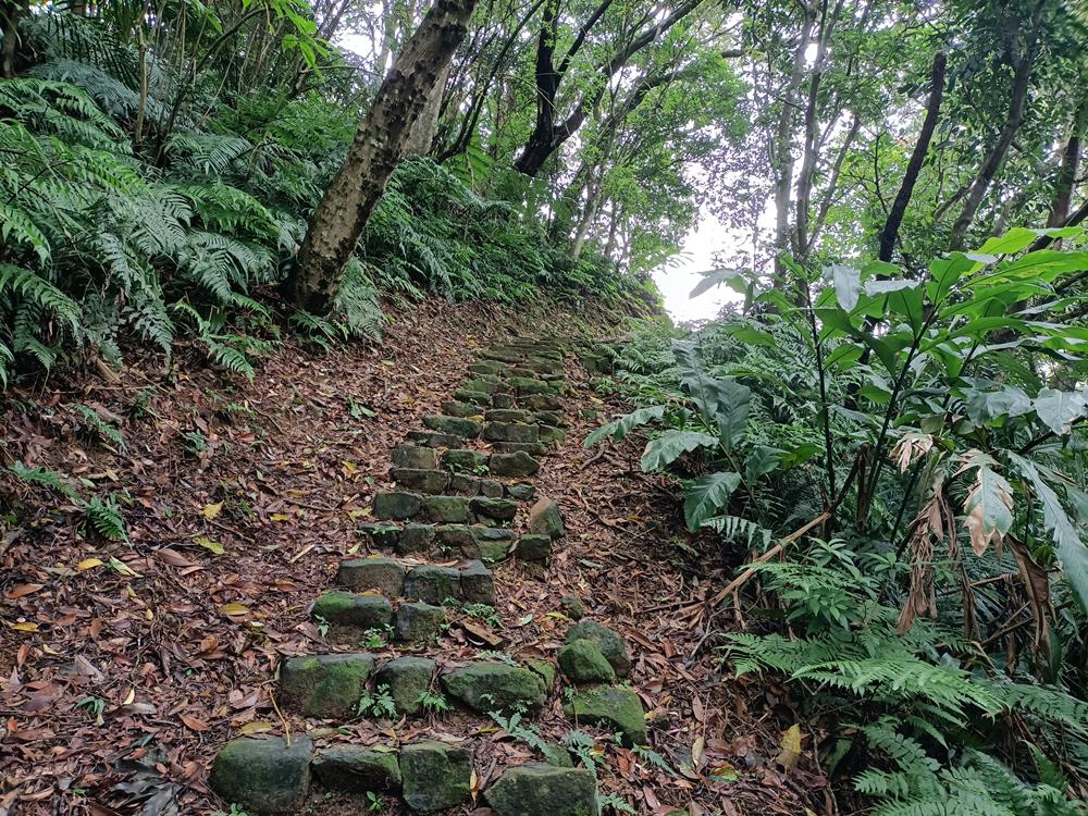 深坑  大崎嶺步道  (尾寮古道)