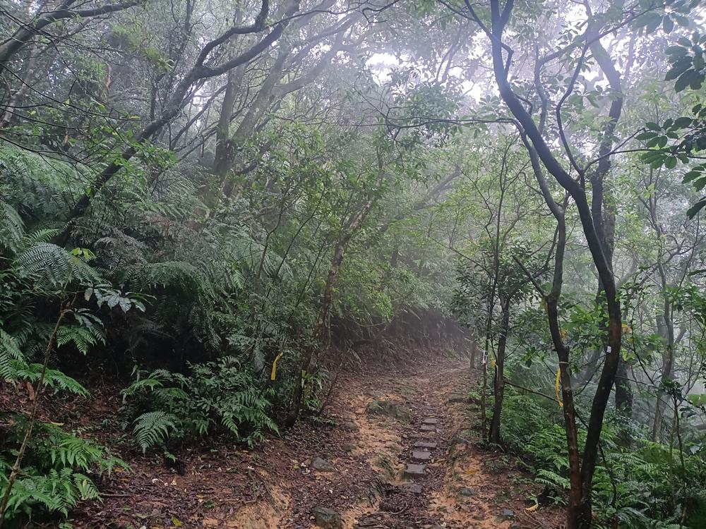 深坑  猴山岳登山步道