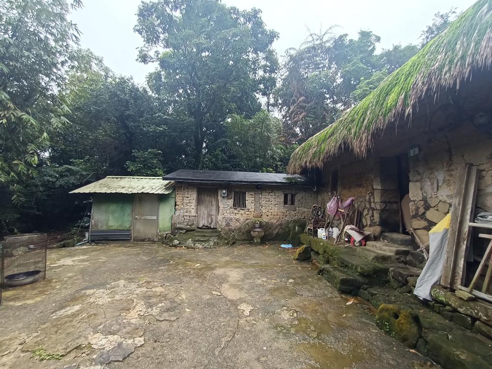 深坑  炮子崙  林家草厝