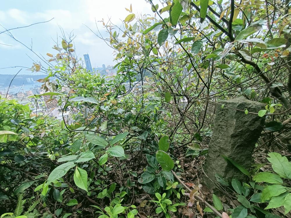基隆  嚴放寺後山  陸軍用地石柱群