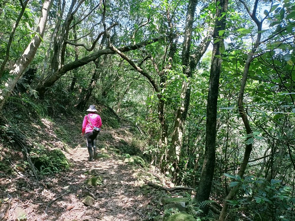 汐止  五指山古道  (上)
