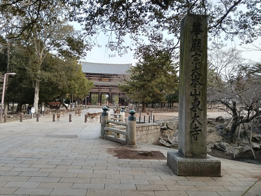 近畿旅行(36)  奈良  東大寺  金堂 (上)