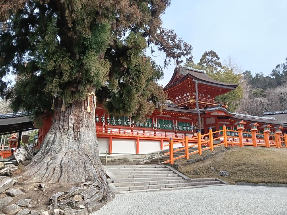 近畿旅行(44)  奈良  春日大社 (下)