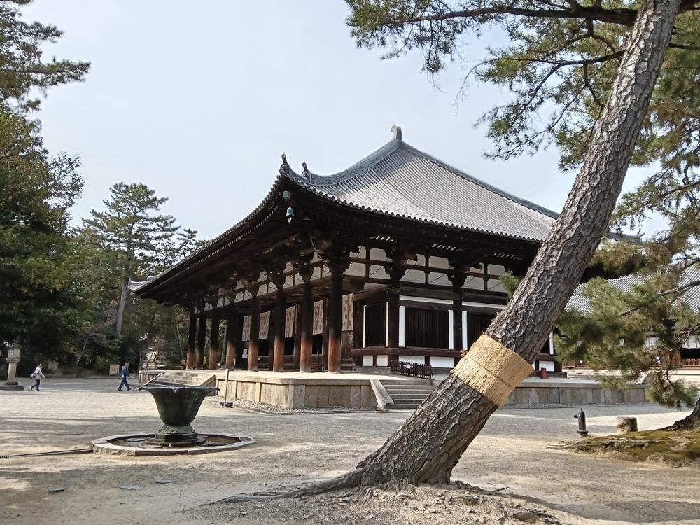近畿旅行(51)  奈良  唐招提寺