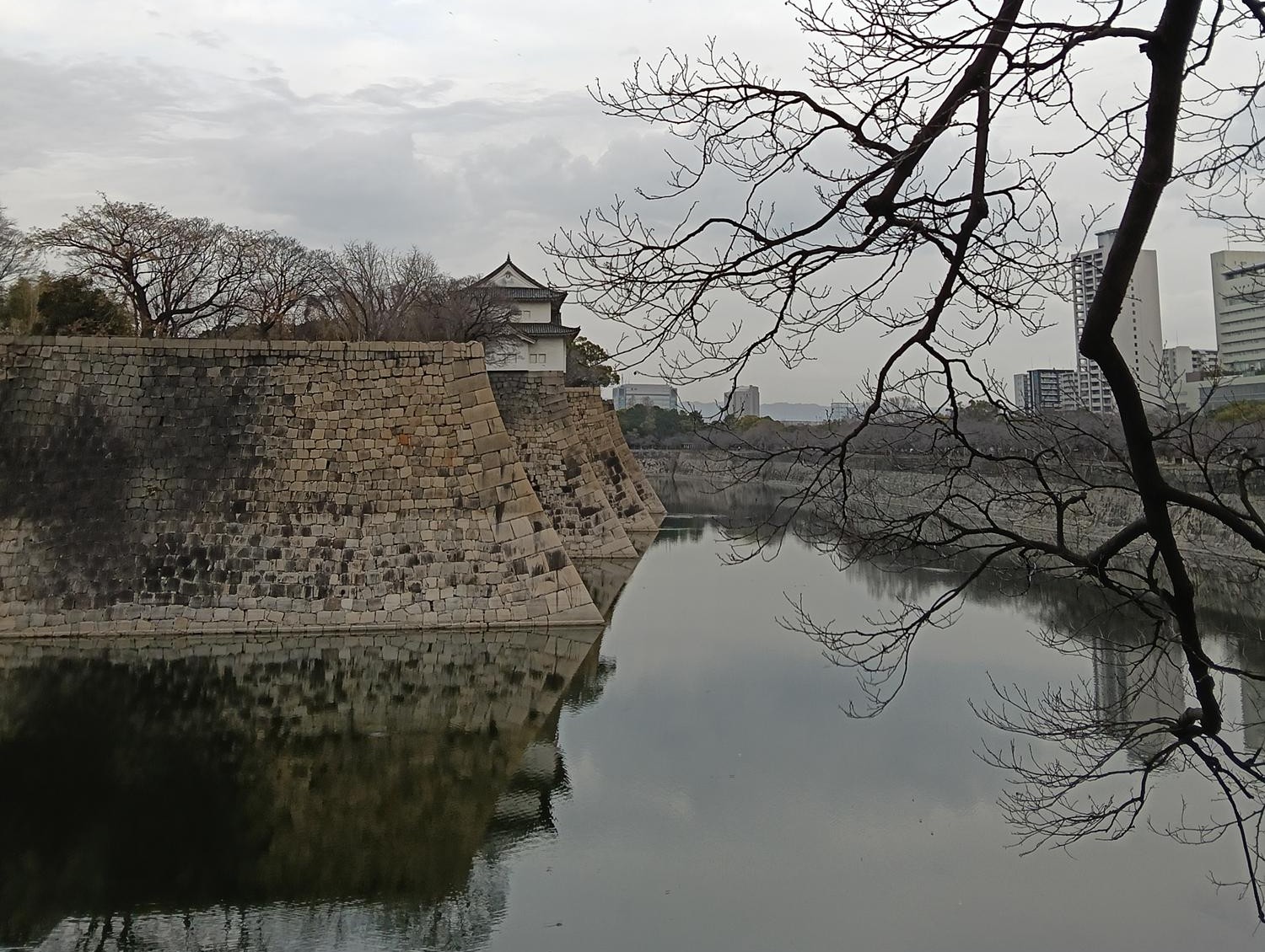 近畿旅行(62)  大阪  大阪城公園  (上)