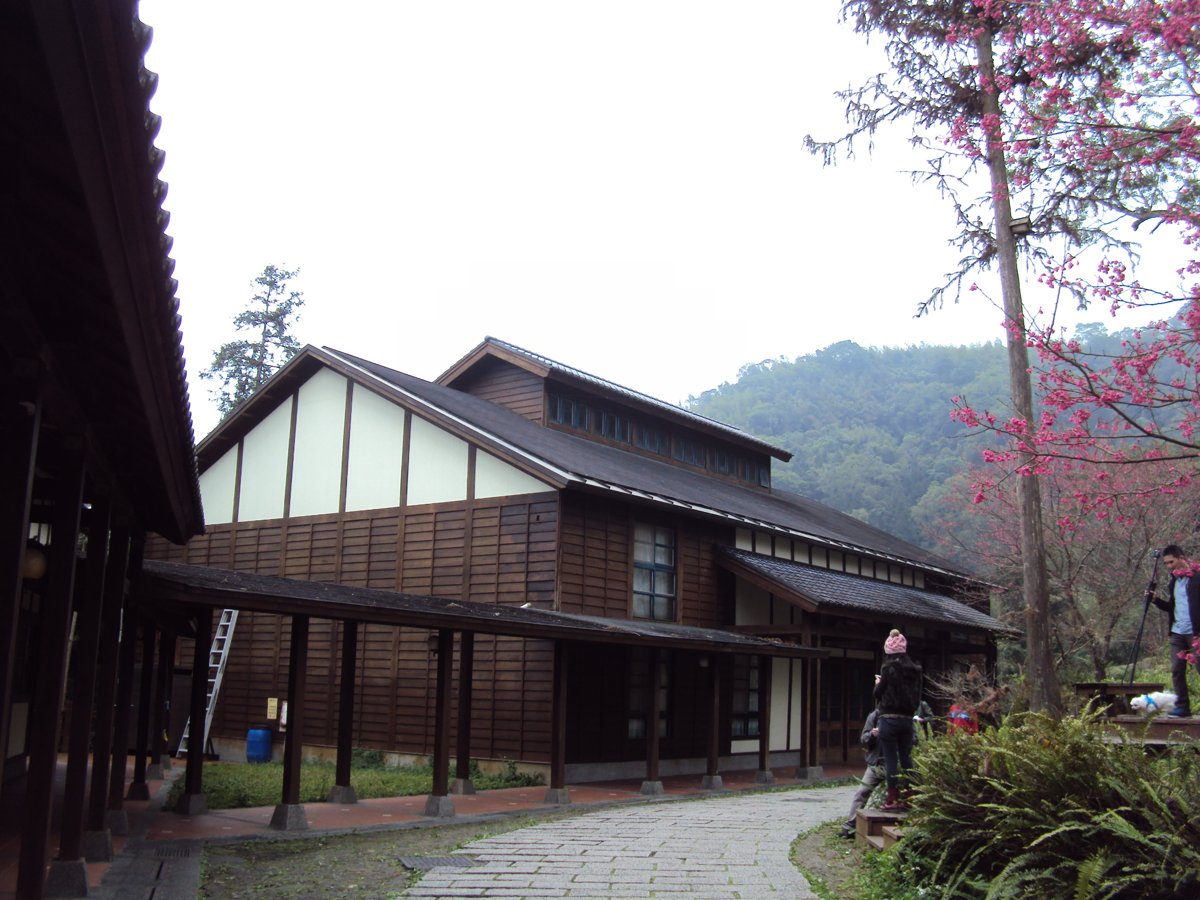 鹿谷 內湖國小 鹿谷 內湖國小
