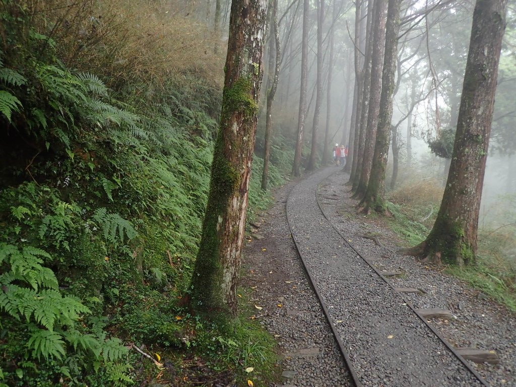 太平山 見晴懷古步道 太平山 見晴懷古步道