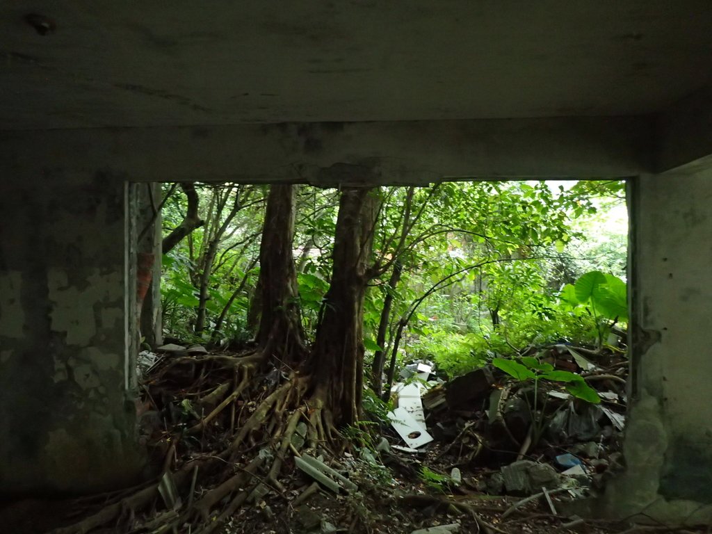 記憶廢墟 (196) 記憶廢墟 (196)