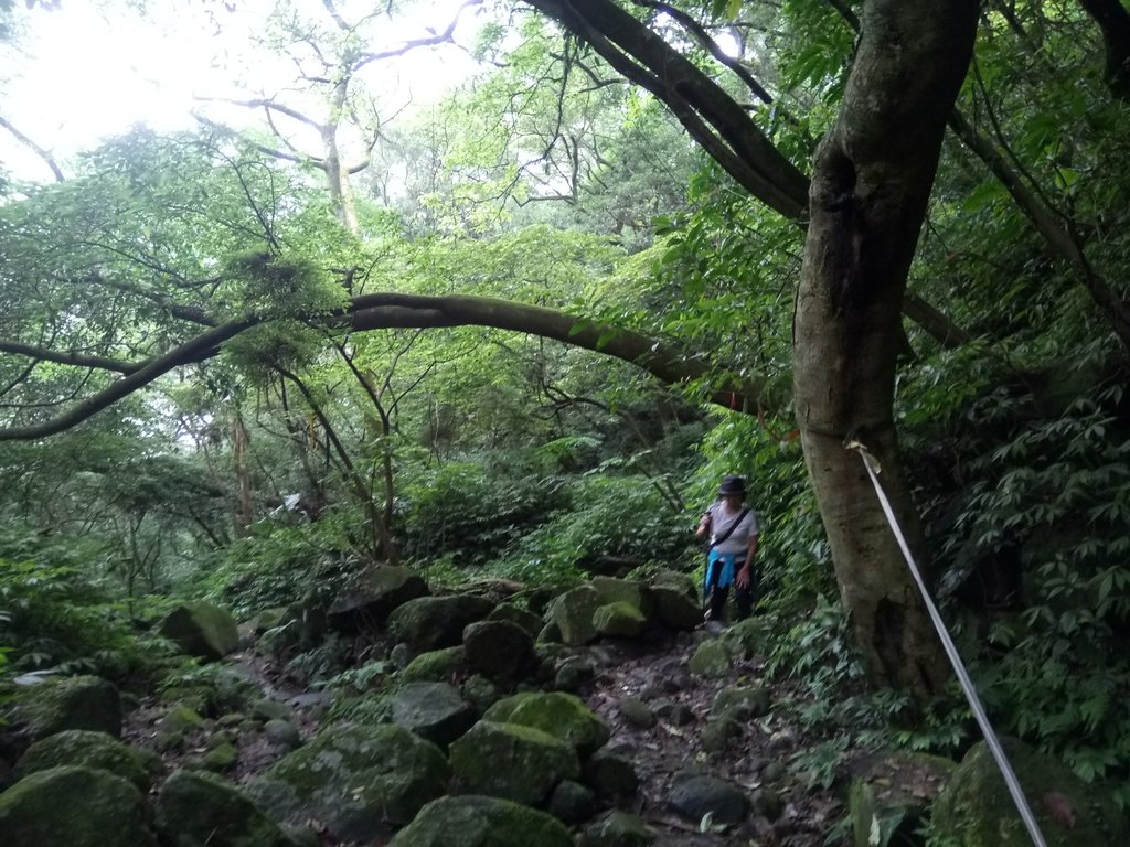 三芝 大屯溪古道行 三芝 大屯溪古道行