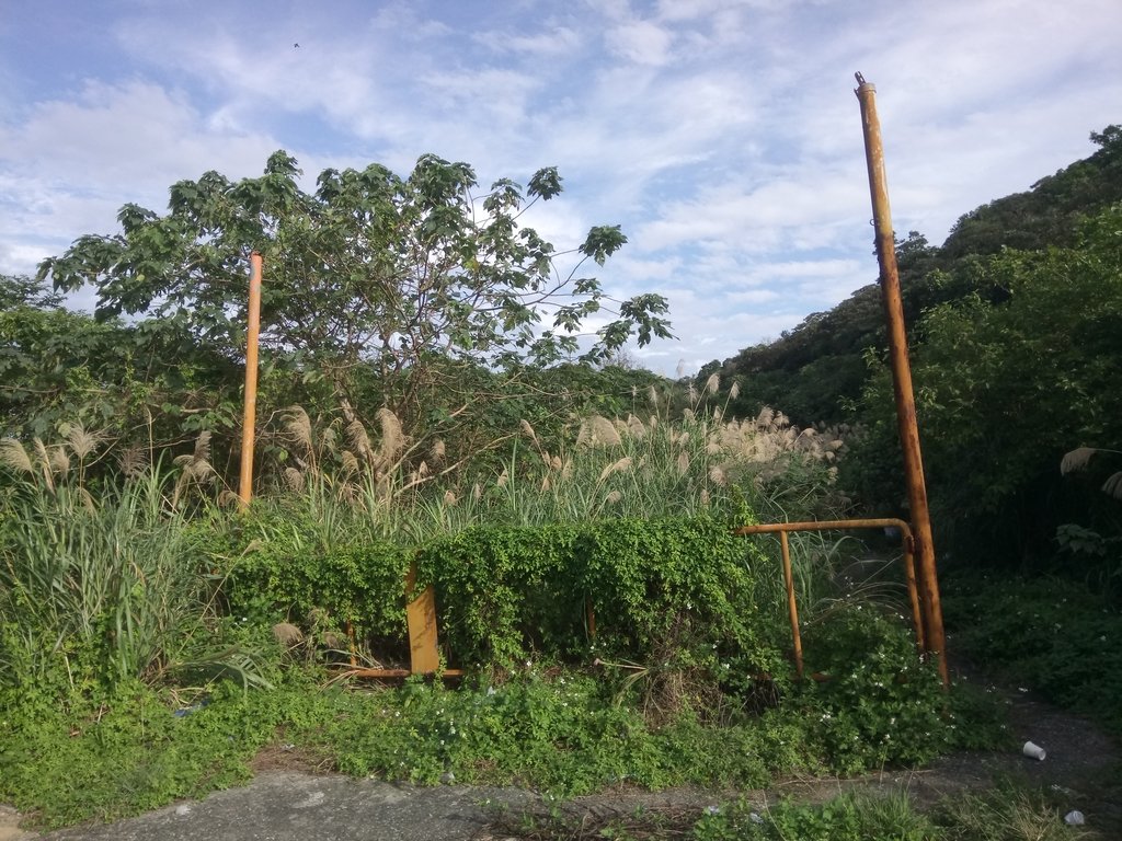 記憶廢墟 (361) 記憶廢墟 (361)