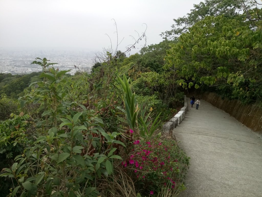 太平 三汀山 (望高寮) 太平 三汀山 (望高寮)