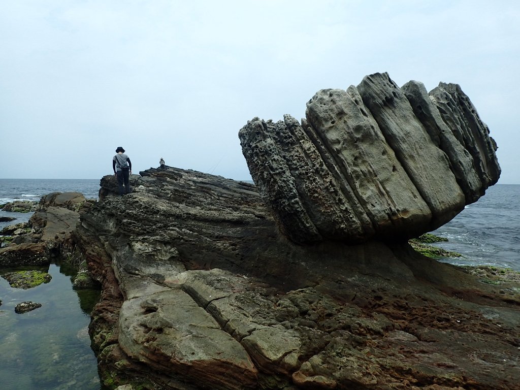 萬里 拳頭石海岸 萬里 拳頭石海岸