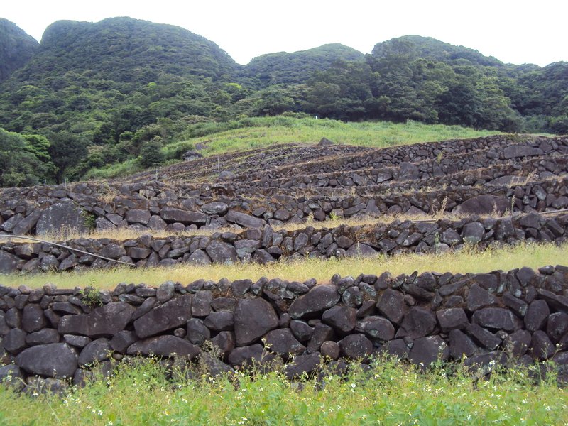 石門 尖山湖 梯田景觀 石門 尖山湖 梯田景觀