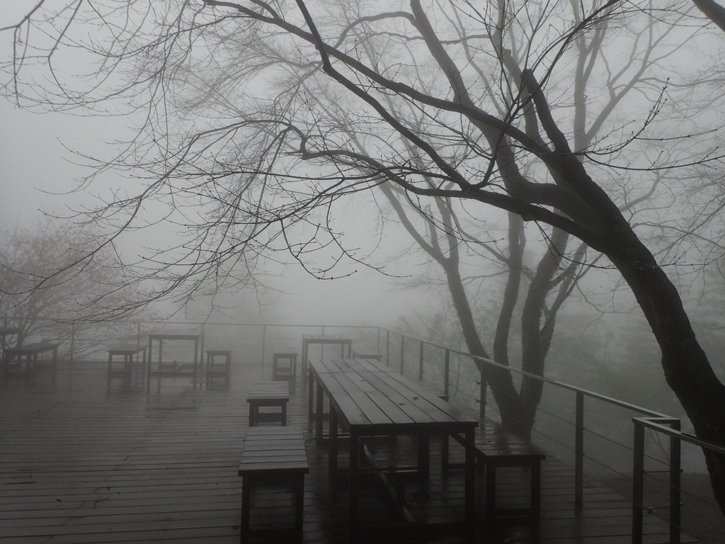 三峽 熊空茶園 (下) 三峽 熊空茶園 (下)
