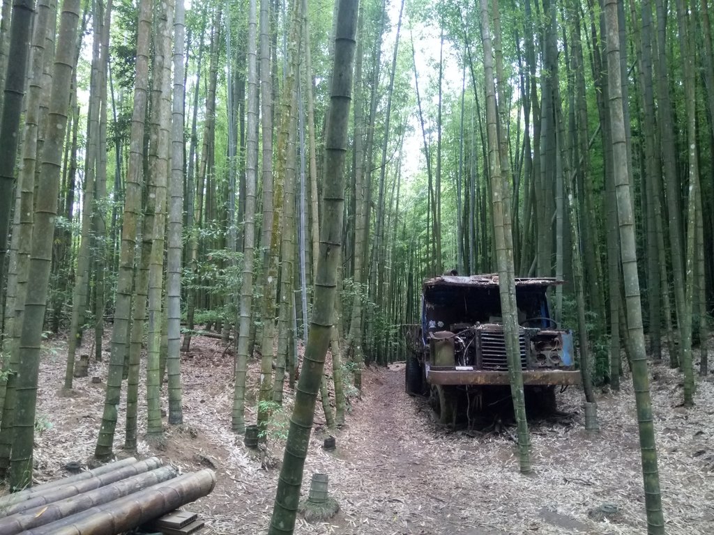台中和平 長壽山登山步道 (中) 台中和平 長壽山登山步道 (中)