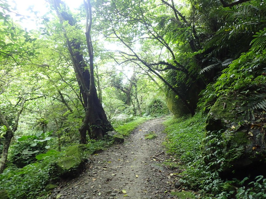 大溪 打鐵寮古道 (上) 大溪 打鐵寮古道 (上)