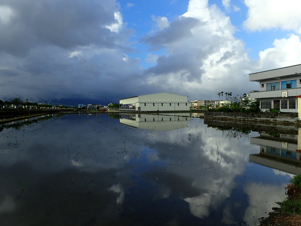 壯圍 竹安 水田雲影之美 壯圍 竹安 水田雲影之美