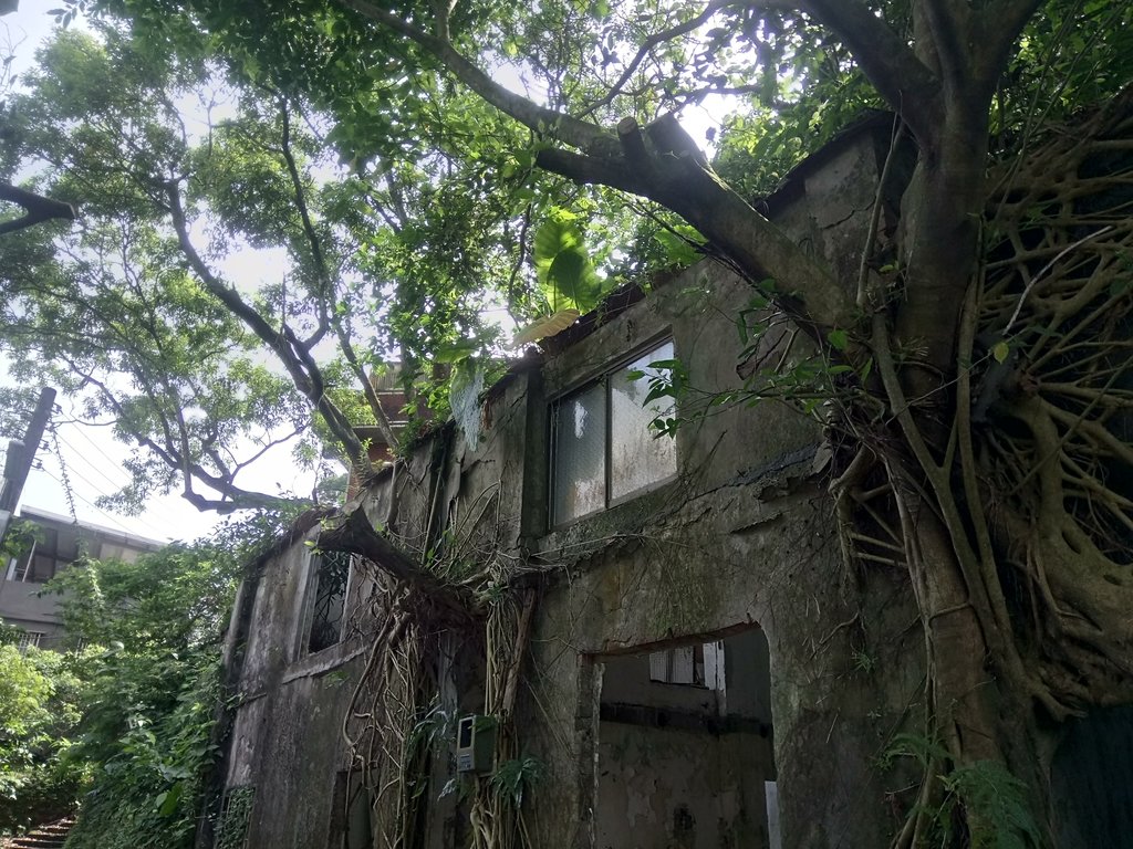 記憶廢墟 (287) 記憶廢墟 (287)