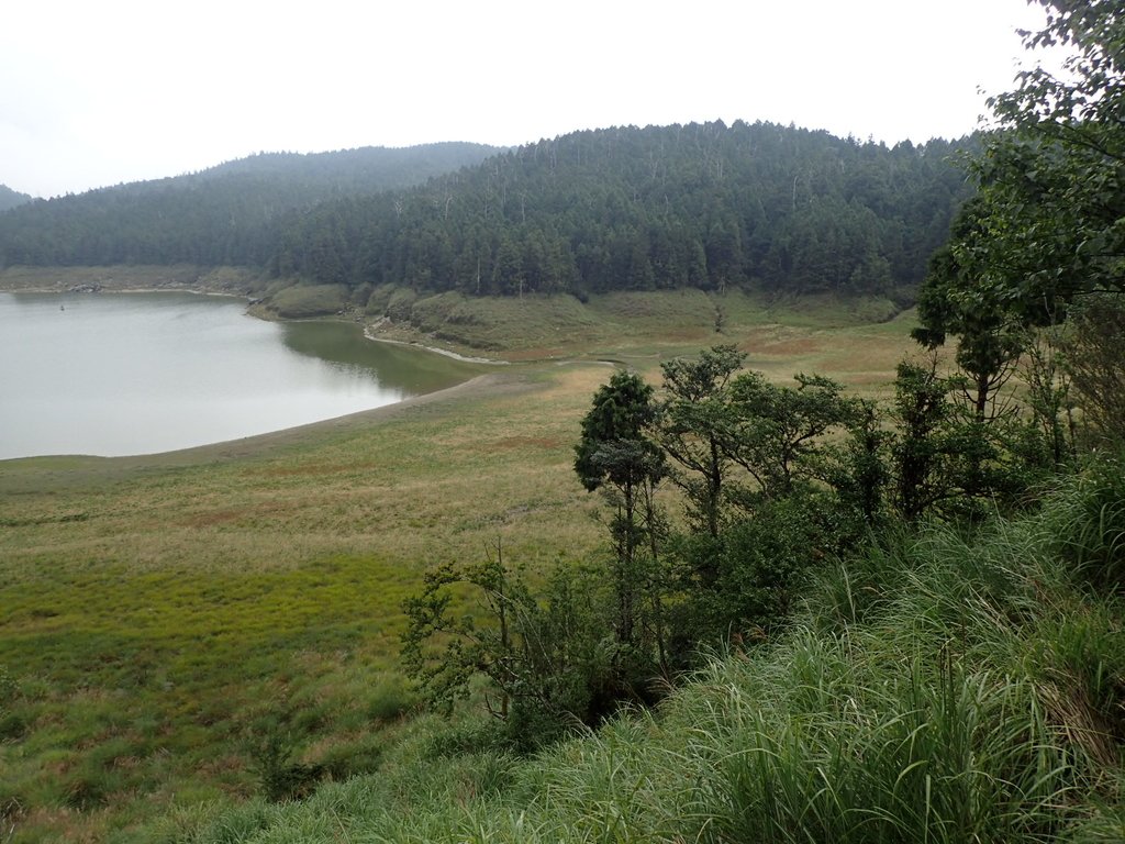 太平山 翠峰湖環山步道 太平山 翠峰湖環山步道