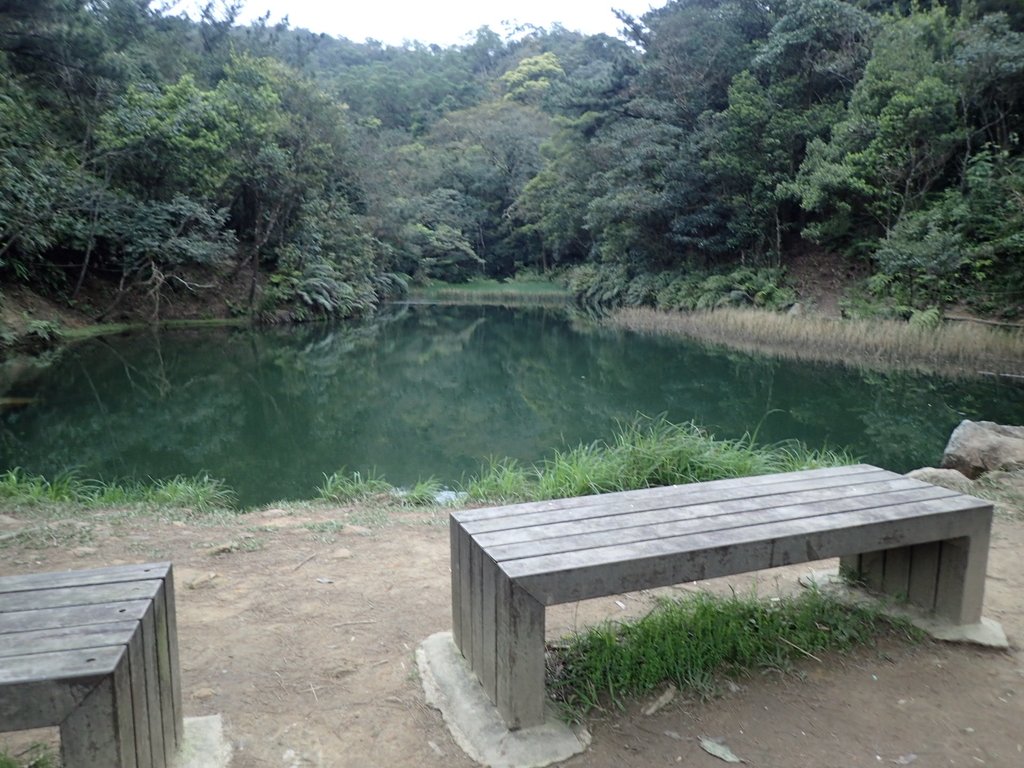 汐止 柯子林山 如意湖 (下) 汐止 柯子林山 如意湖 (下)