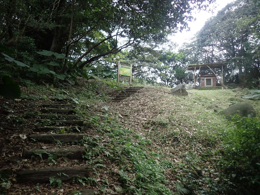 金山 大路崁古道 金山 大路崁古道