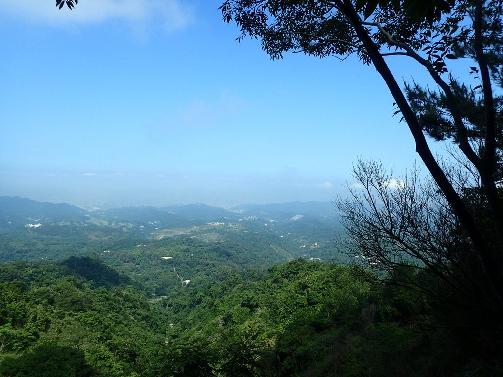 大坑四號步道 頭嵙山 大坑四號步道 頭嵙山