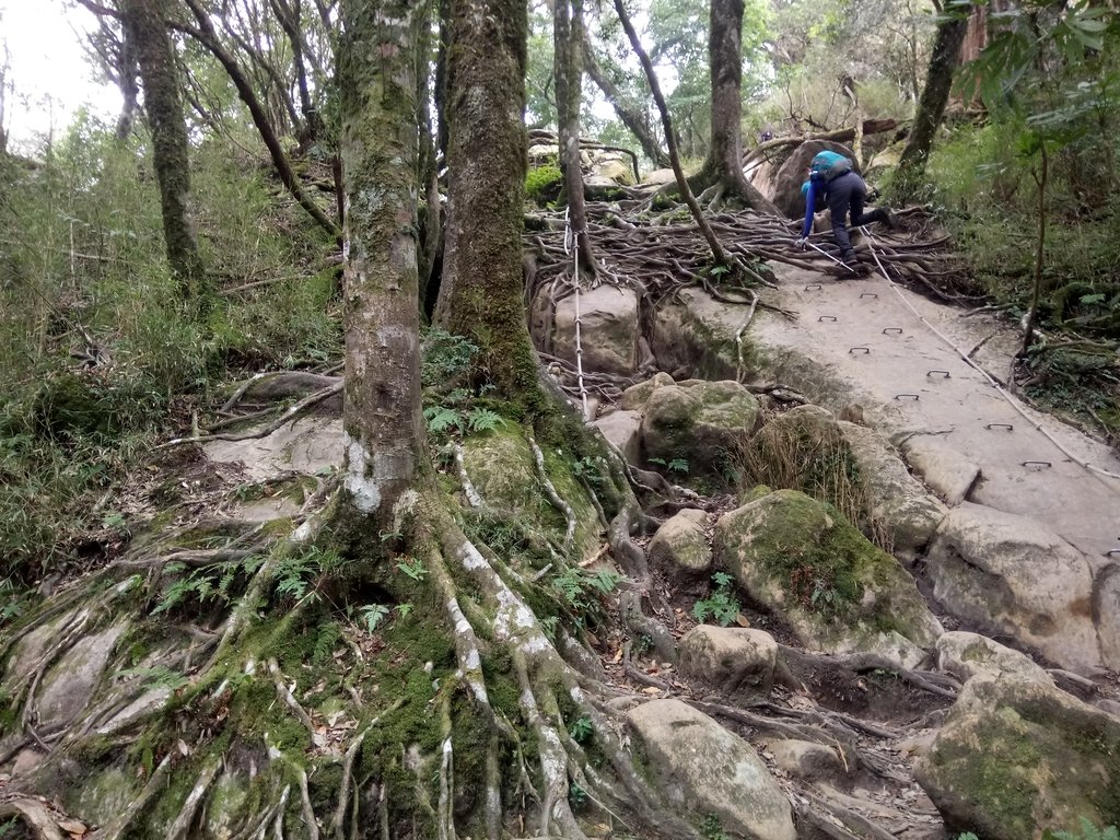 南庄 加里山登山步道 (下) 南庄 加里山登山步道 (下)