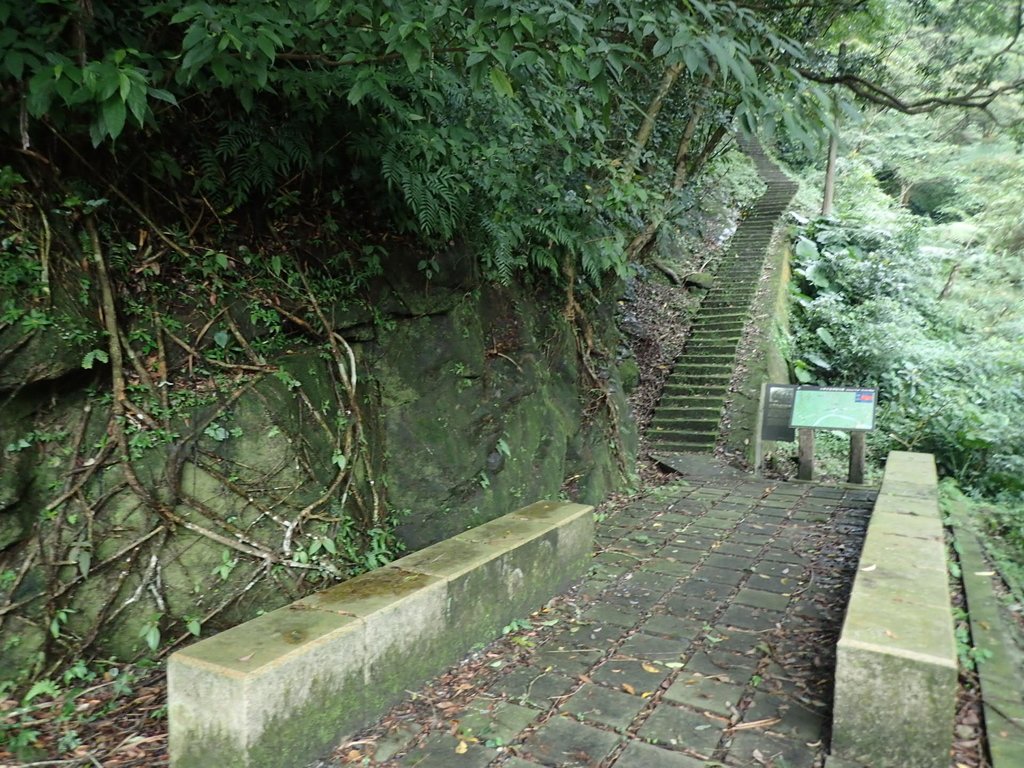 三貂嶺 幼坑古道 (下) 三貂嶺 幼坑古道 (下)