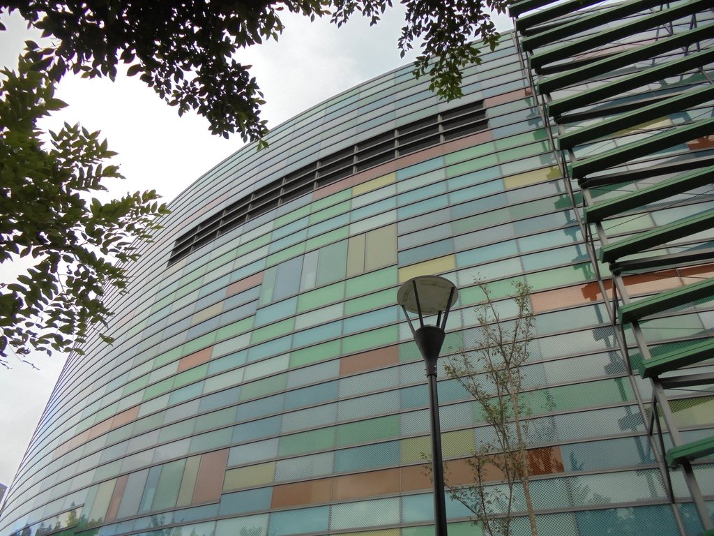 台北 和平籃球館 台北 和平籃球館