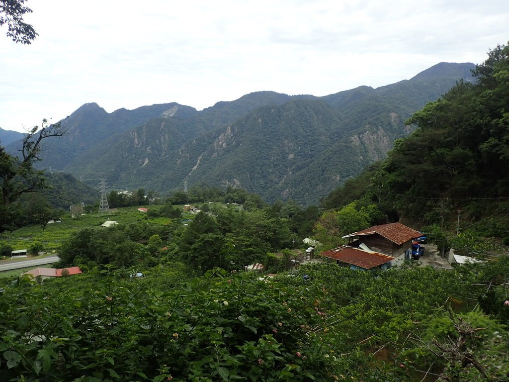 谷關 斯可巴步道 谷關 斯可巴步道