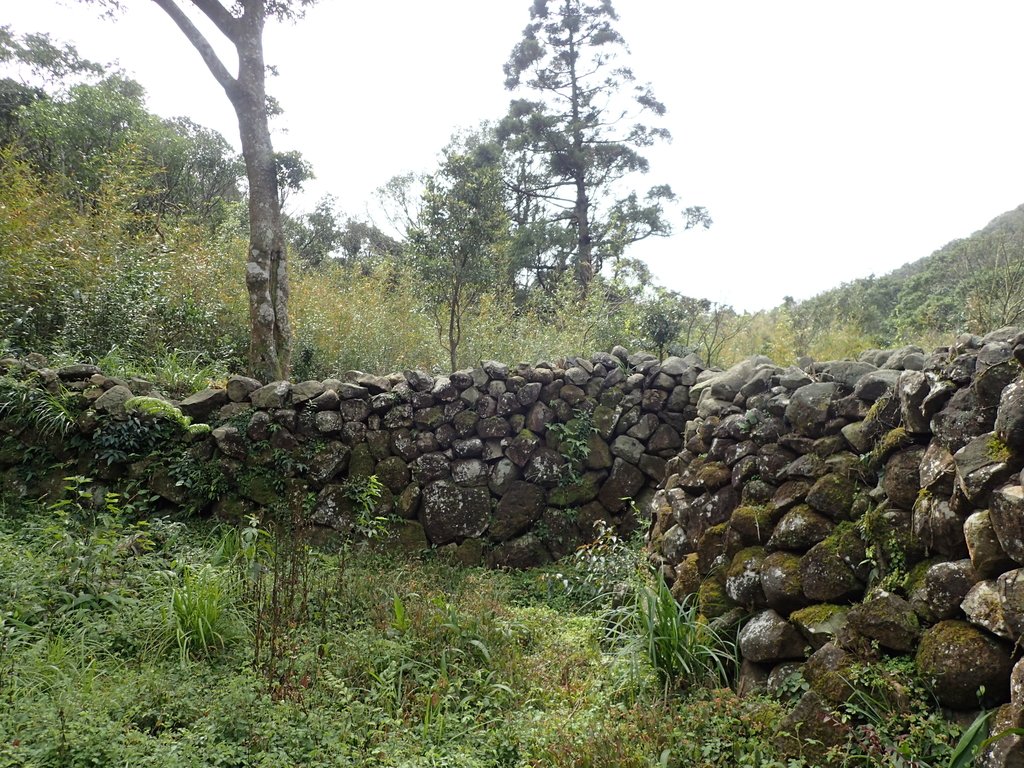 大屯山 面天坪遺址 大屯山 面天坪遺址