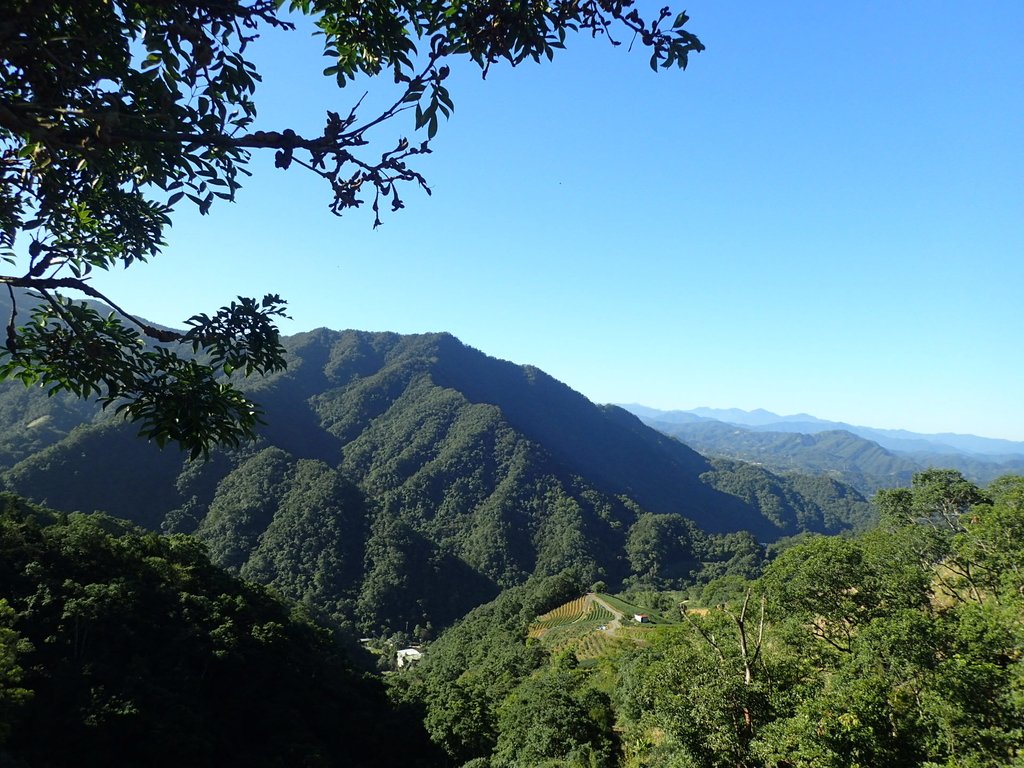 坪林 開眼崙山 坪林 開眼崙山