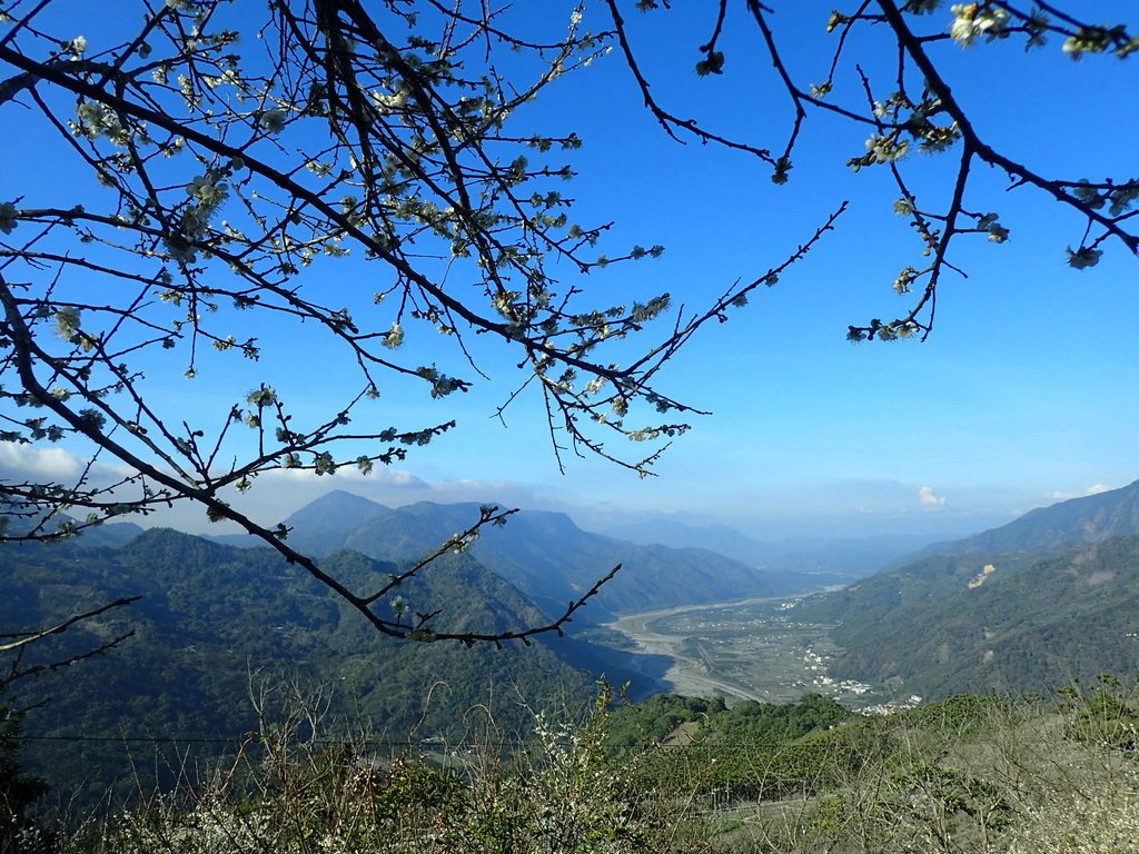 信義 烏松崙 梅林之美 (上) 信義 烏松崙 梅林之美 (上)