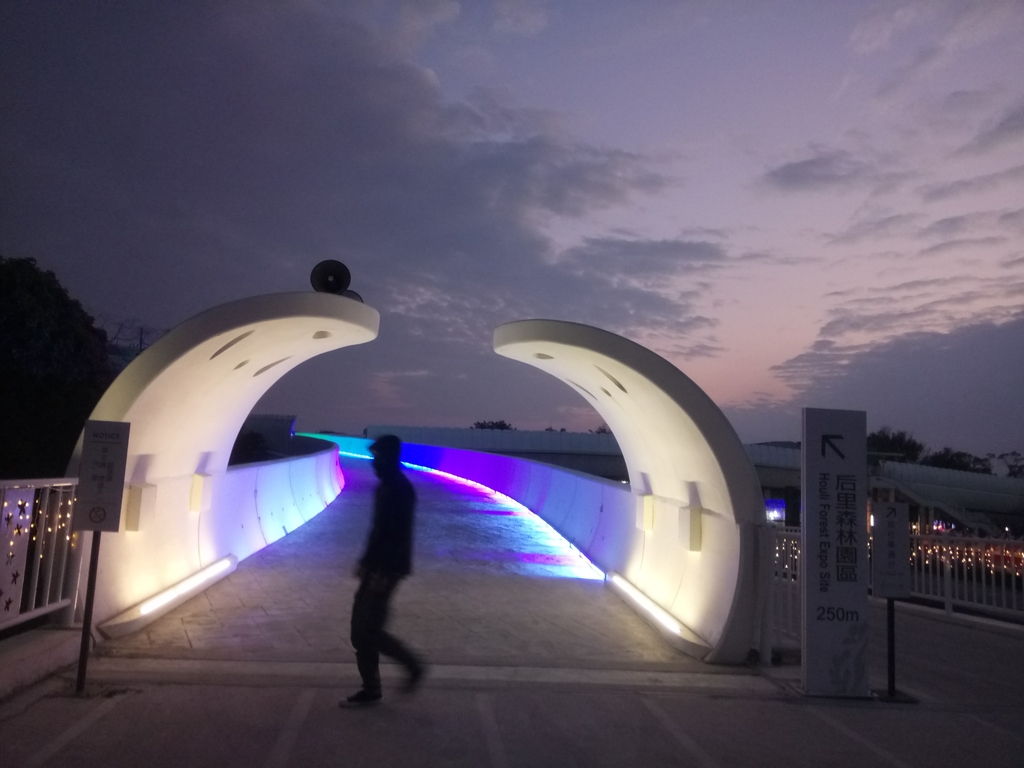 2020台灣燈會 后里 天空步道 2020台灣燈會 后里 天空步道
