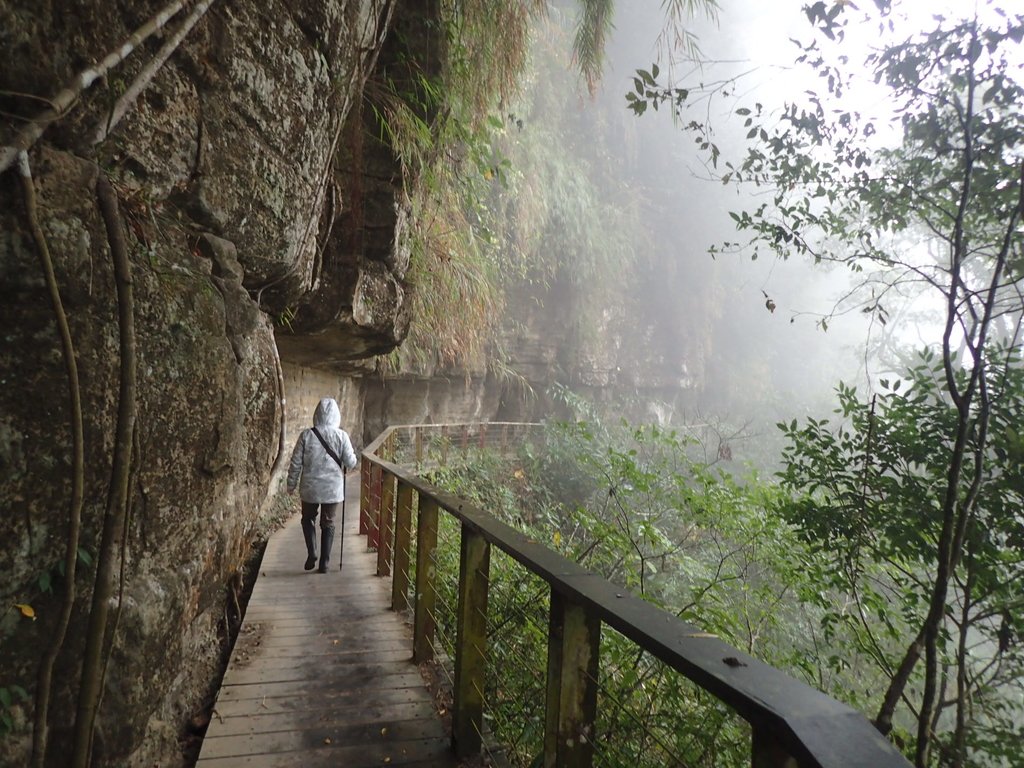 梅山 瑞峰村 竹坑溪步道 (上) 梅山 瑞峰村 竹坑溪步道 (上)