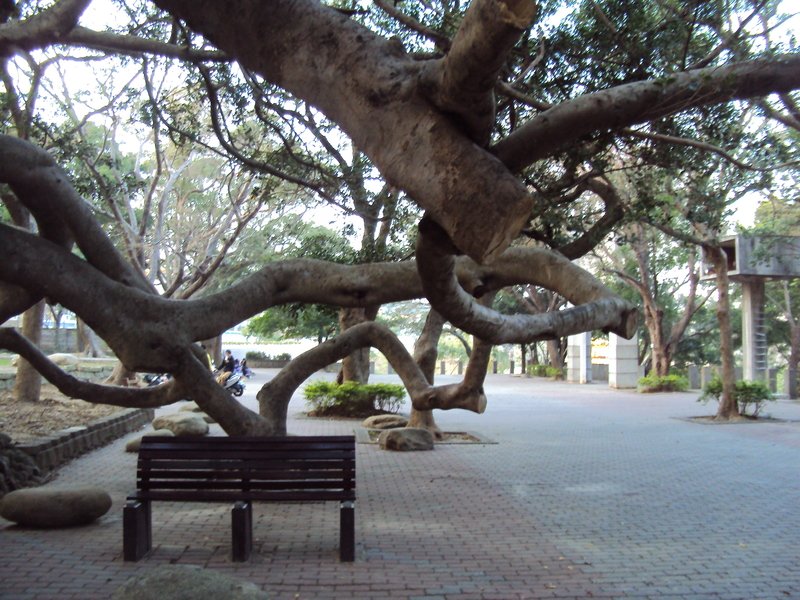 神社遺跡(三O) 苗栗神社 神社遺跡(三O) 苗栗神社