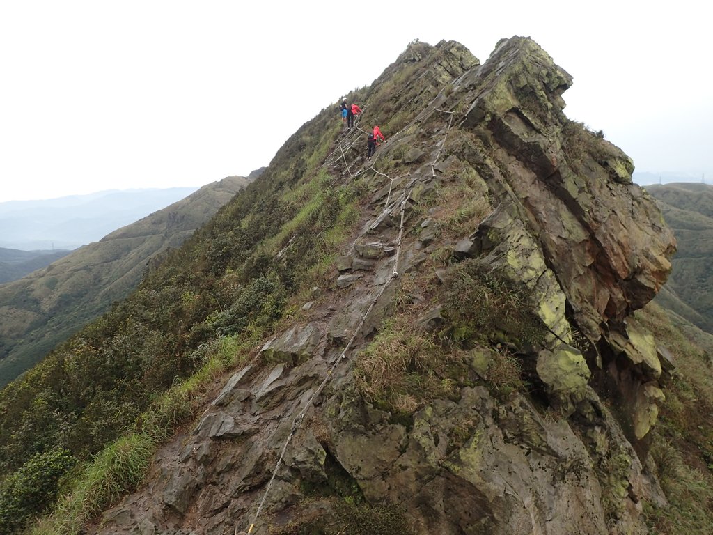 瑞芳 鋸齒稜 半平山 瑞芳 鋸齒稜 半平山