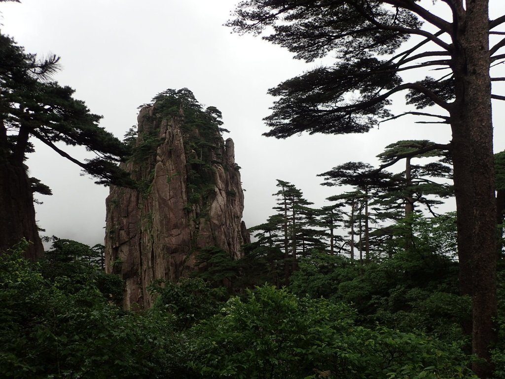 黃山(十) 石筍峰 小夢幻步道 黃山(十) 石筍峰 小夢幻步道