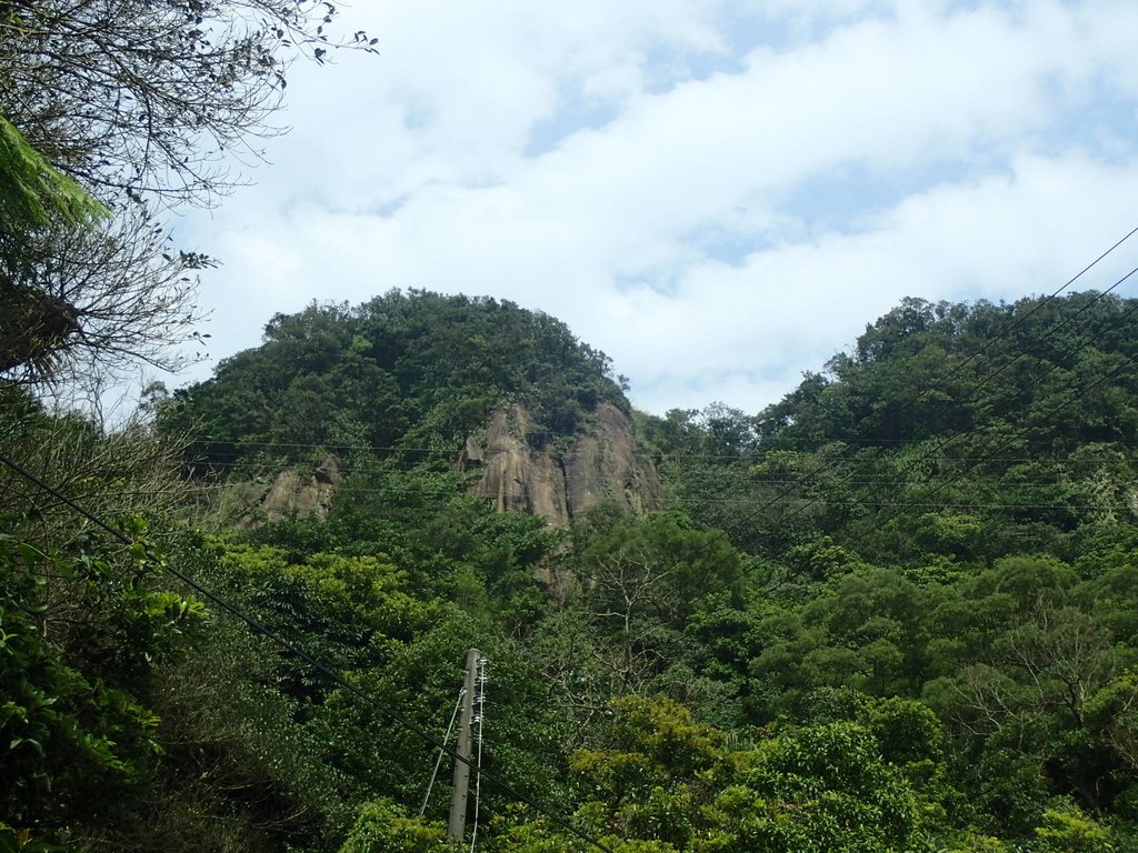 瑞芳 登白象山(弘明山) 未竟 瑞芳 登白象山(弘明山) 未竟