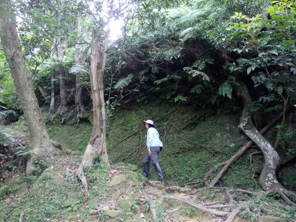 汐止 翠湖 內溝山 老鷲尖 汐止 翠湖 內溝山 老鷲尖