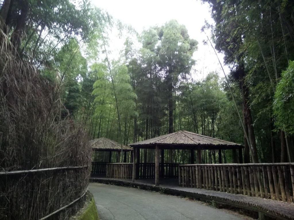 石壁 犁寮園區 五元兩角綠廊 石壁 犁寮園區 五元兩角綠廊