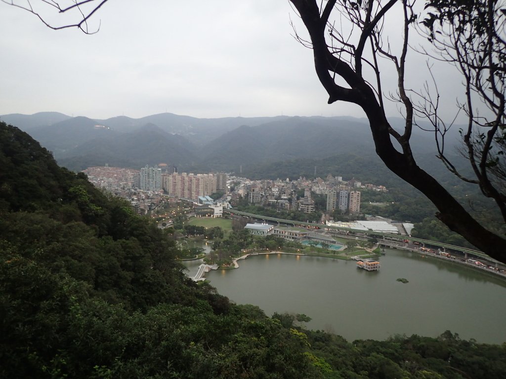 內湖 白鷺鷥山親山步道 內湖 白鷺鷥山親山步道