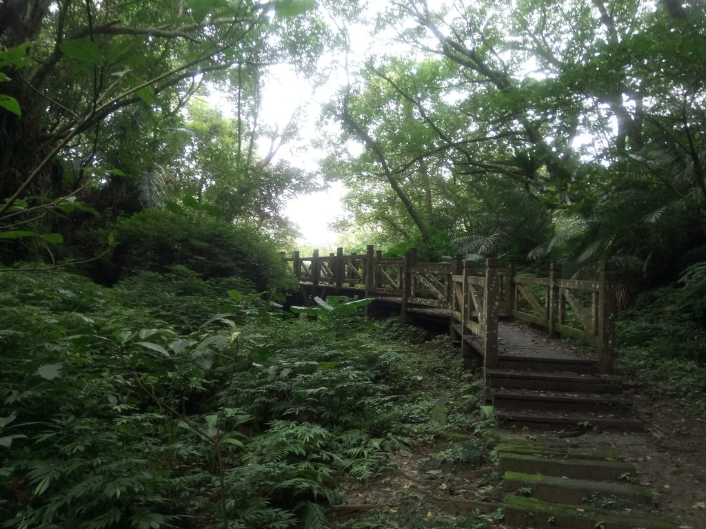 深坑 土庫岳登山步道 (01) 深坑 土庫岳登山步道 (01)