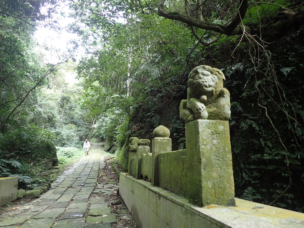 獅頭山 獅山古道 (上) 獅頭山 獅山古道 (上)
