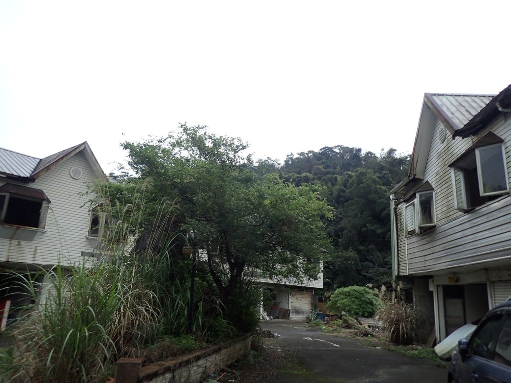 記憶廢墟 (236) 記憶廢墟 (236)