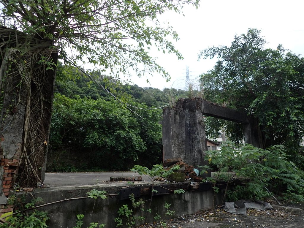 記憶廢墟 (113) 記憶廢墟 (113)