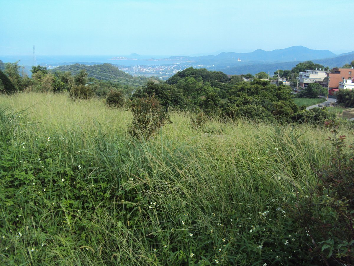 金山 葵扇湖 田野風光(上) 金山 葵扇湖 田野風光(上)