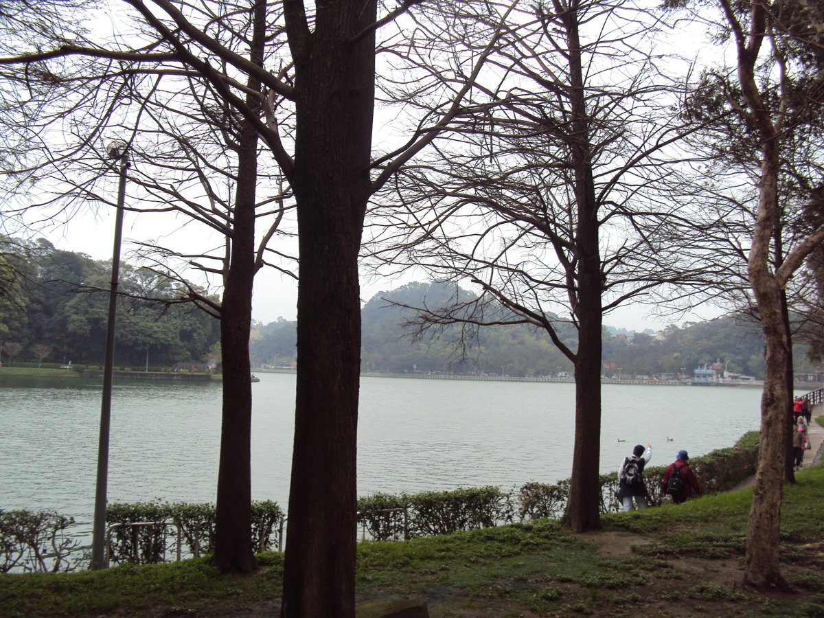 內湖 碧湖公園 環湖步道 內湖 碧湖公園 環湖步道